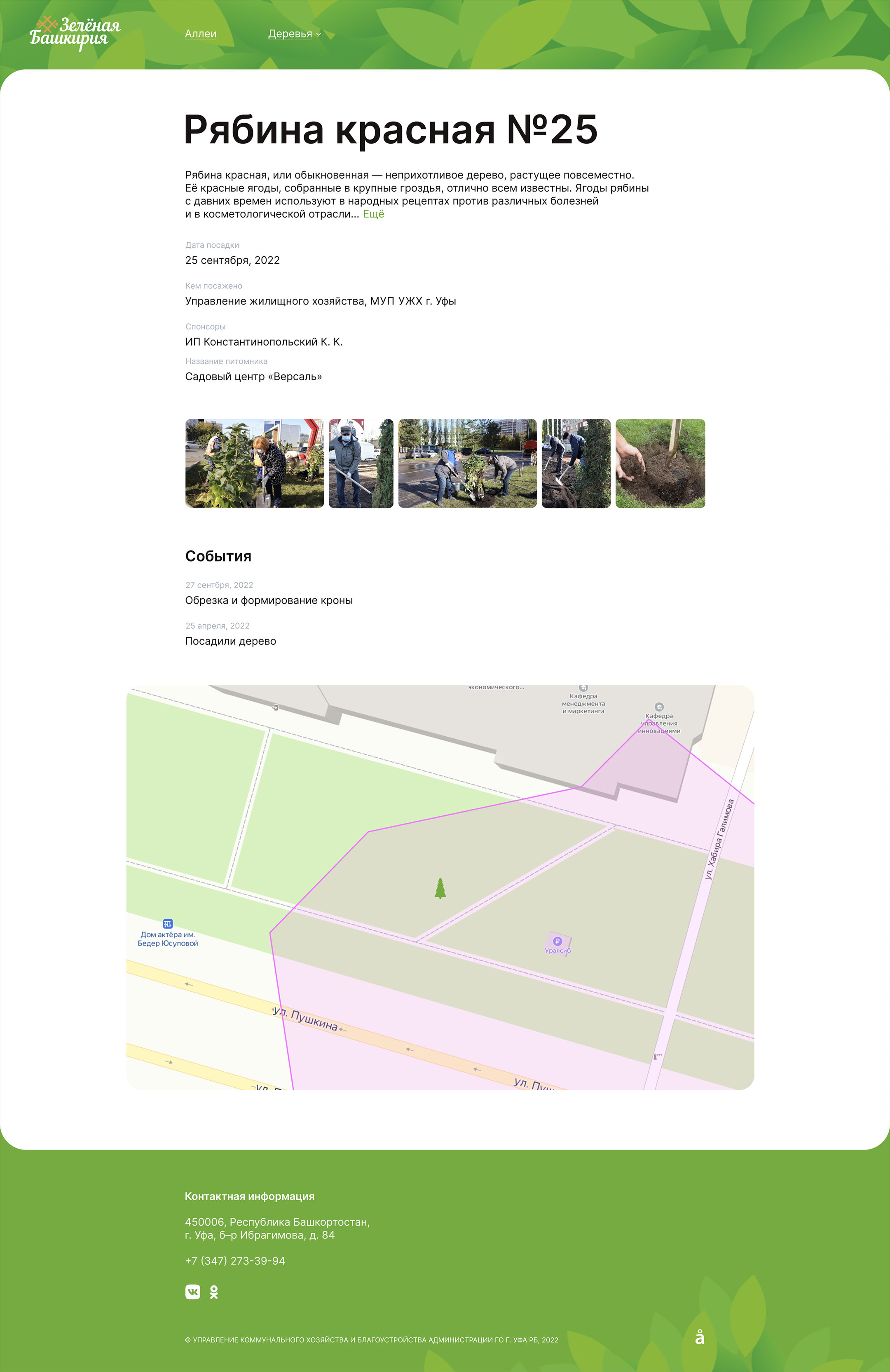 Страница дерева